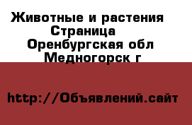  Животные и растения - Страница 6 . Оренбургская обл.,Медногорск г.